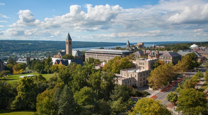 Professor of Practice Position in Chemical and Biomolecular Engineering at Cornell University